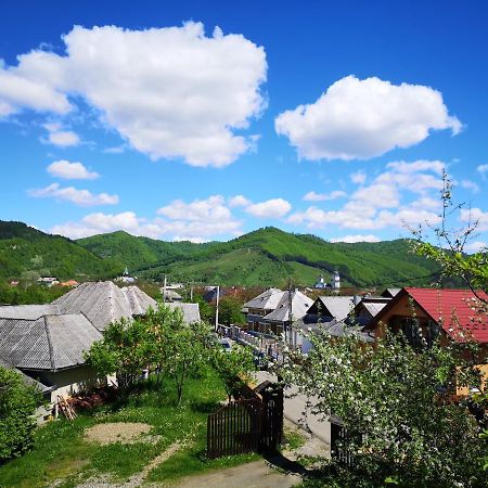 Pensiunea Ardelean Vadu Izei Exterior foto