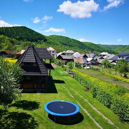 Pensiunea Ardelean Vadu Izei Exterior foto