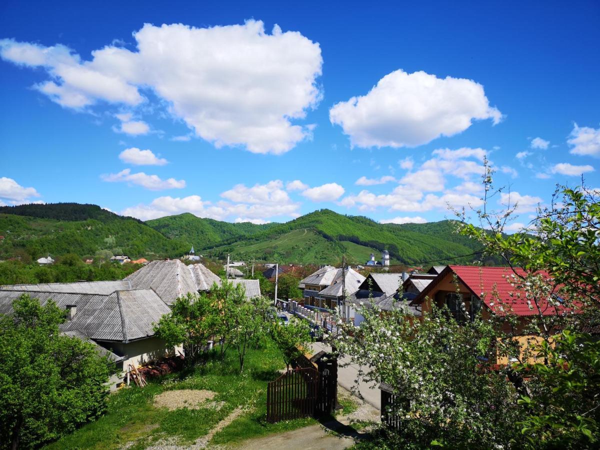 Pensiunea Ardelean Vadu Izei Exterior foto